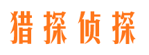 亭湖侦探